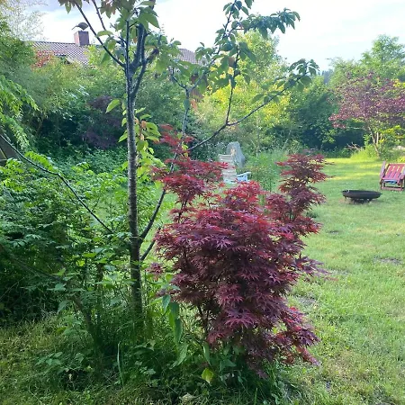 Waldzauber Apartament Waldkirchen