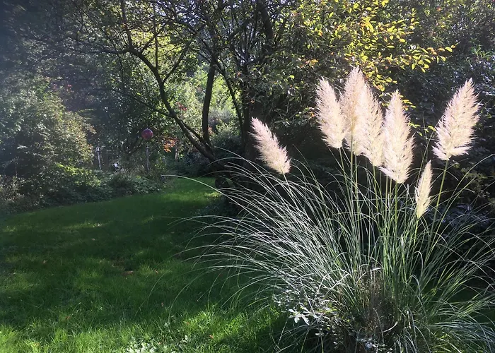 דירה Waldzauber *